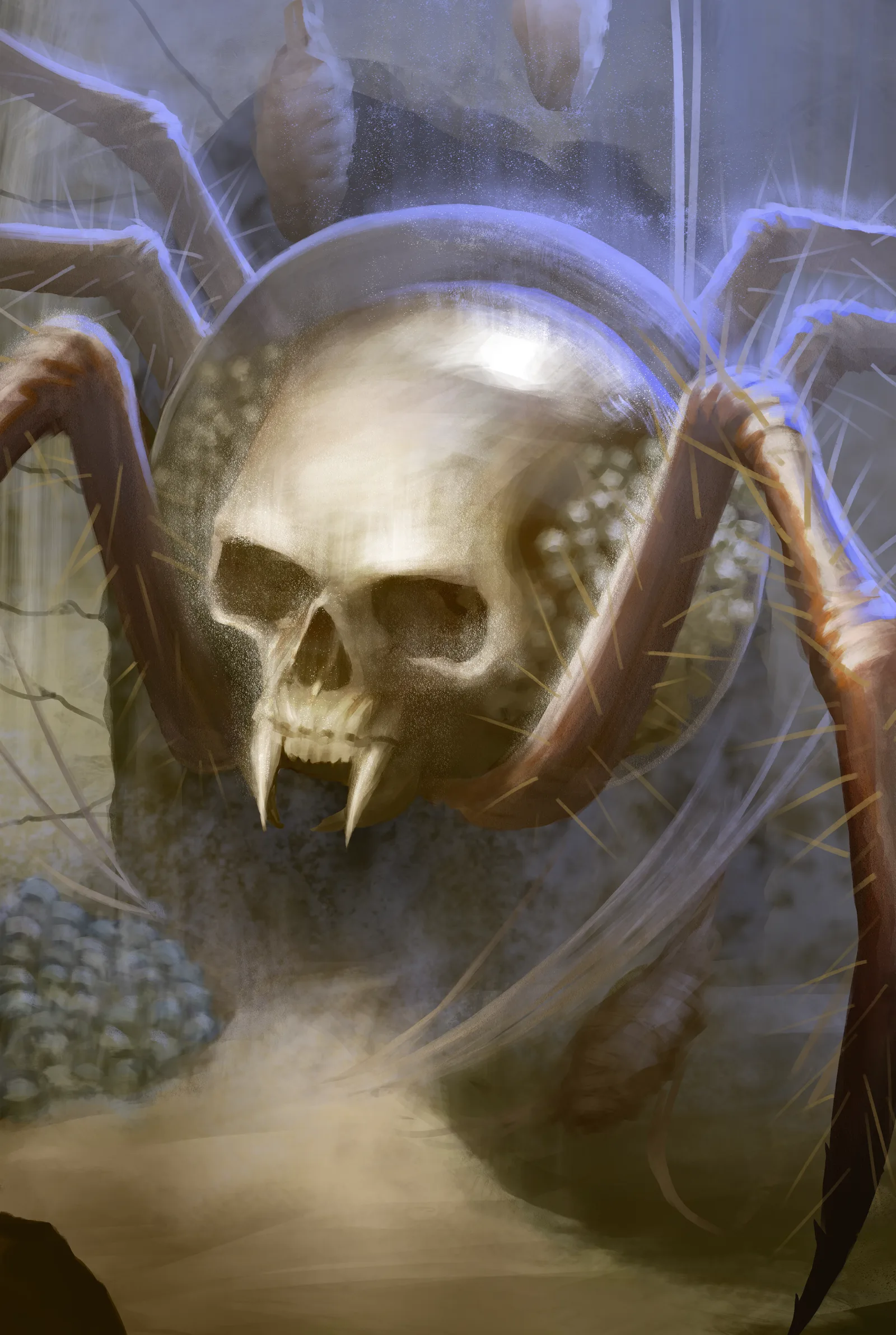 The Glass Widow